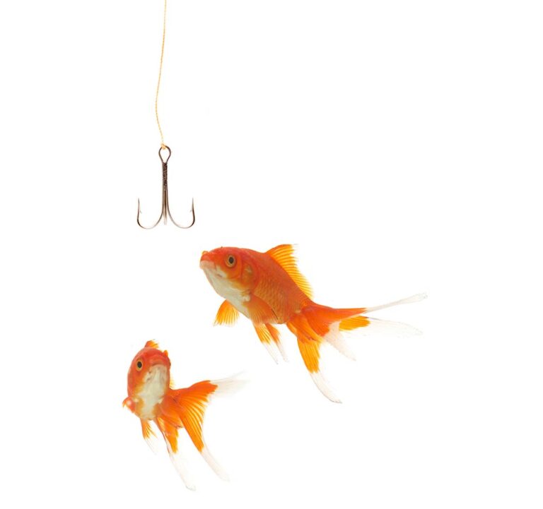 Executive Leadership Coaching